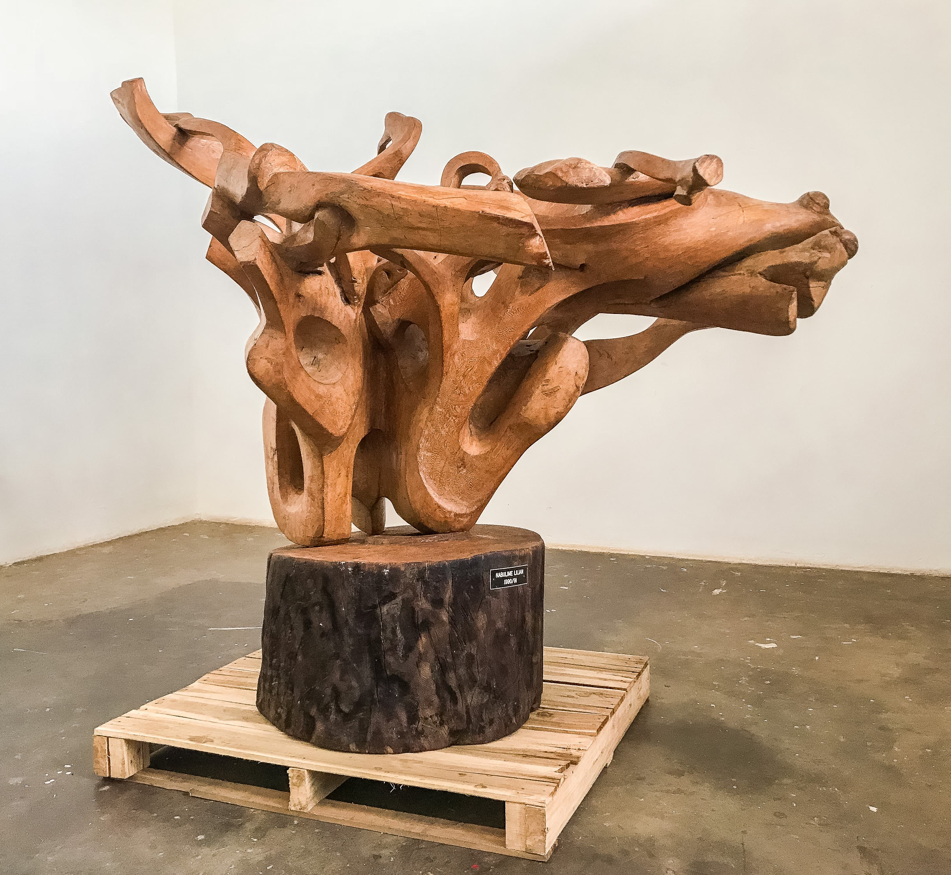 Kavuyo Series
